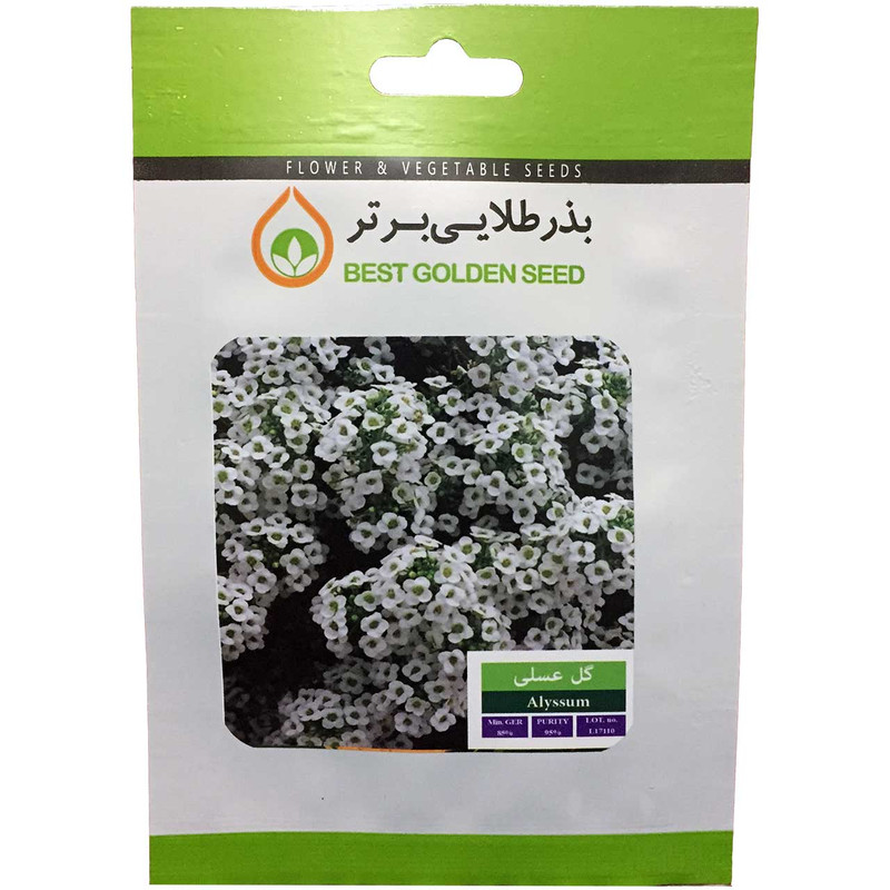 بذر گل عسلی بذر طلایی برتر کد BZT-24
