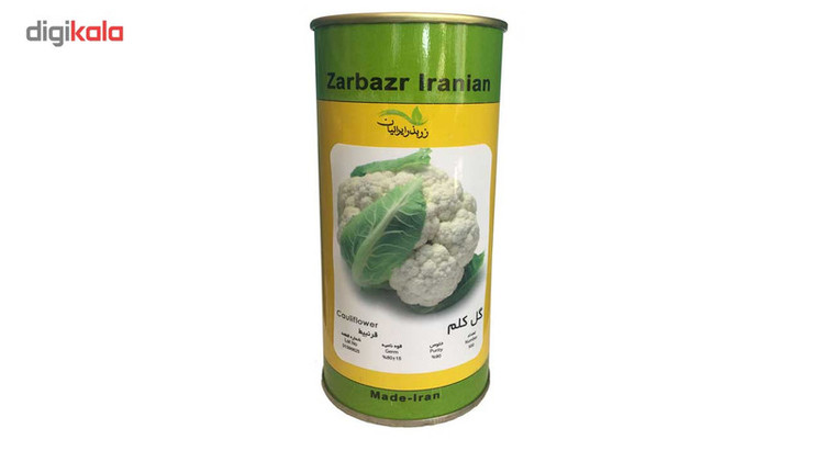 بذر گل کلم زر بذر ایرانیان قوطی 500 عددی مدل GH500A-30