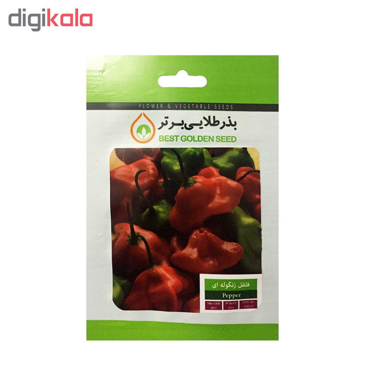 بذر فلفل زنگوله ای بذر طلایی برتر کد BZT-62