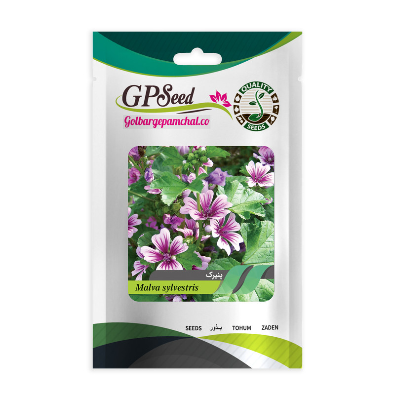 بذر گیاه دارویی پنیرک گلبرگ پامچال کد GPF-309