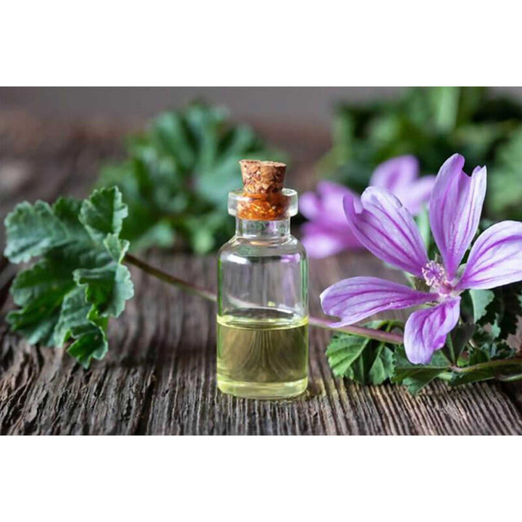 بذر گیاه دارویی پنیرک گلبرگ پامچال کد GPF-309