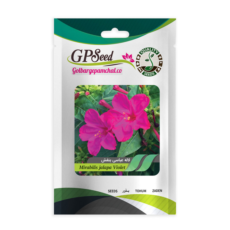 بذر گل لاله عباسی گلبرگ پامچال کد G-P-GP-06 مجموعه 6 عددی