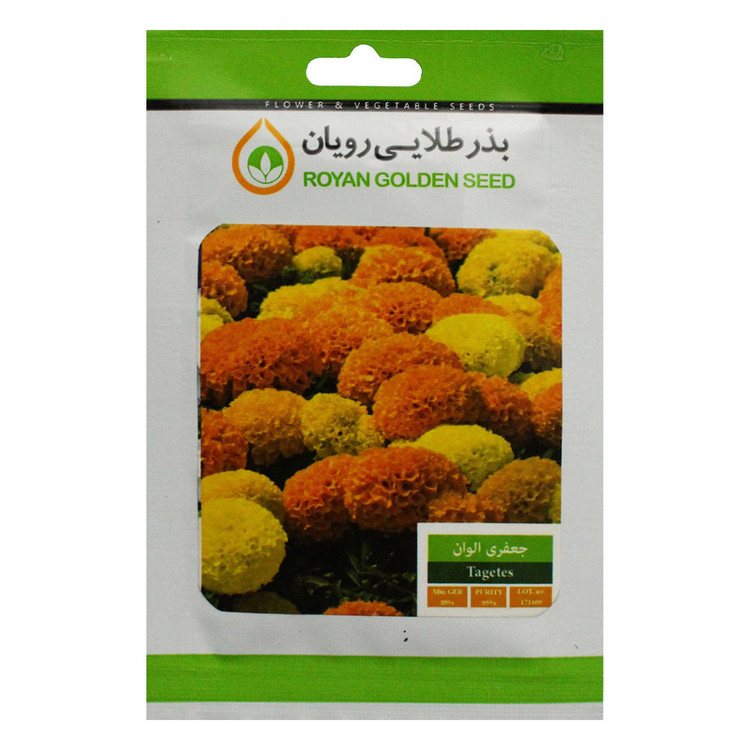 بذر گل جعفری الوان بذر طلایی رویان کد BZTR-013