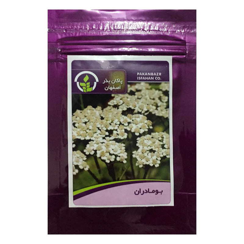 بذر بودماران پاکان بذر اصفهان کد PBF-51