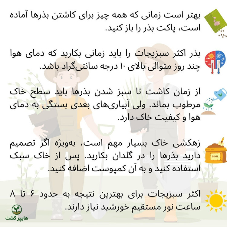 بذر سبزیجات هایپرکشت کد 2050 مجموعه 10 عددی
