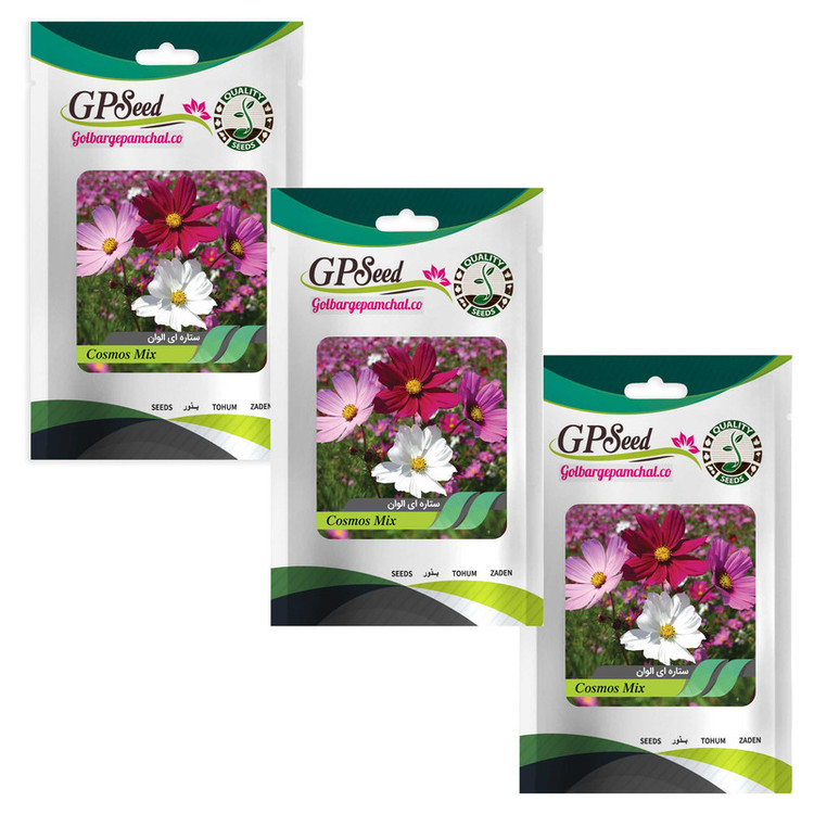 بذر گل ستاره ای پابلند پرگل الوان گلبرگ پامچال کد GPF-054 مجموعه 3 عددی