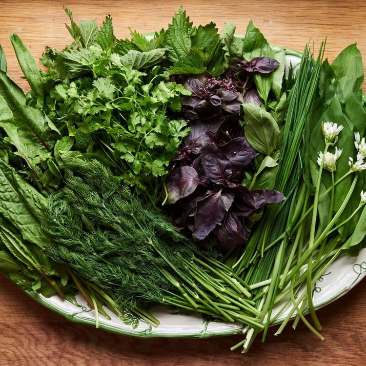 بذر سبزی معطر وانیا سید مدل BA1692