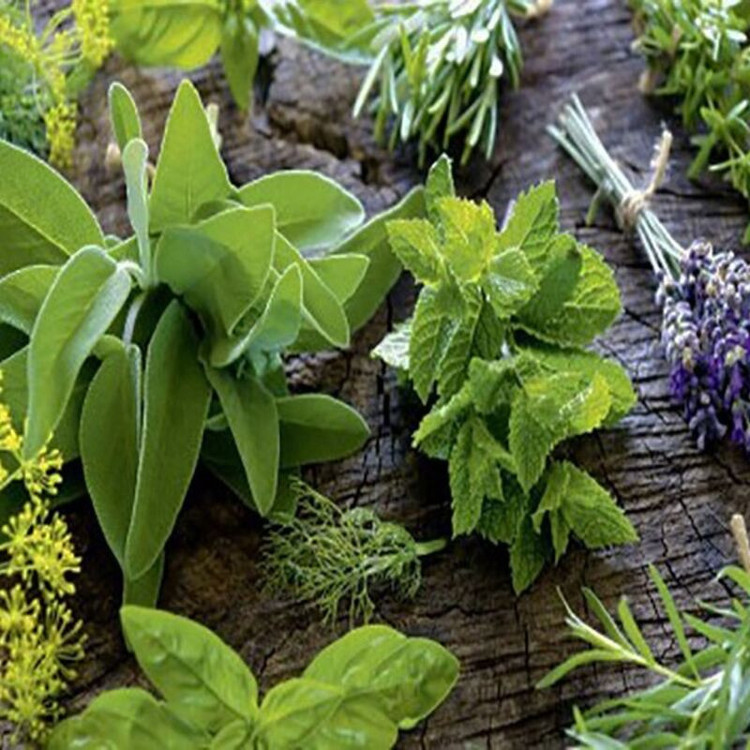 بذر سبزی معطر وانیا سید مدل BA1692