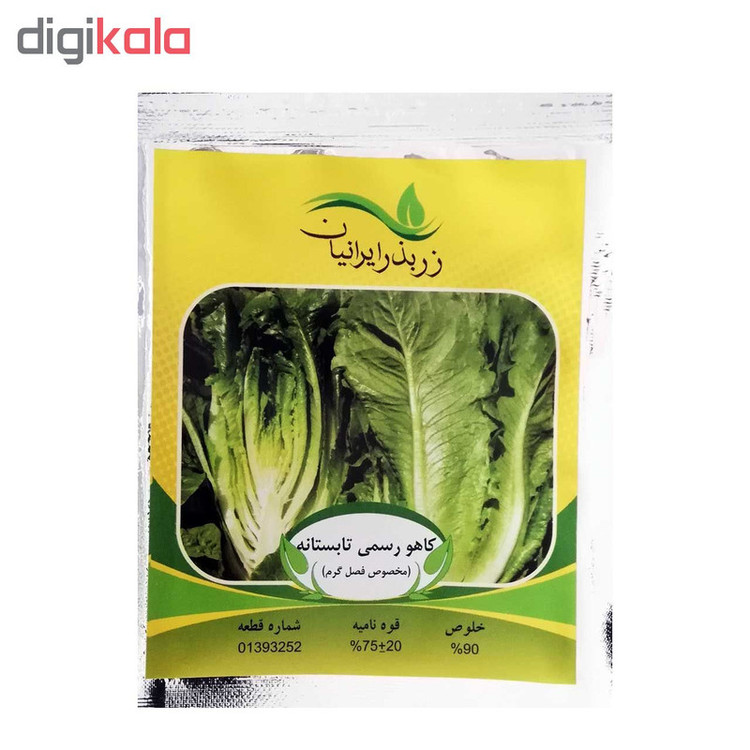 بذر کاهو رسمی تابستانه زر بذر ایرانیان کد ZBP-41