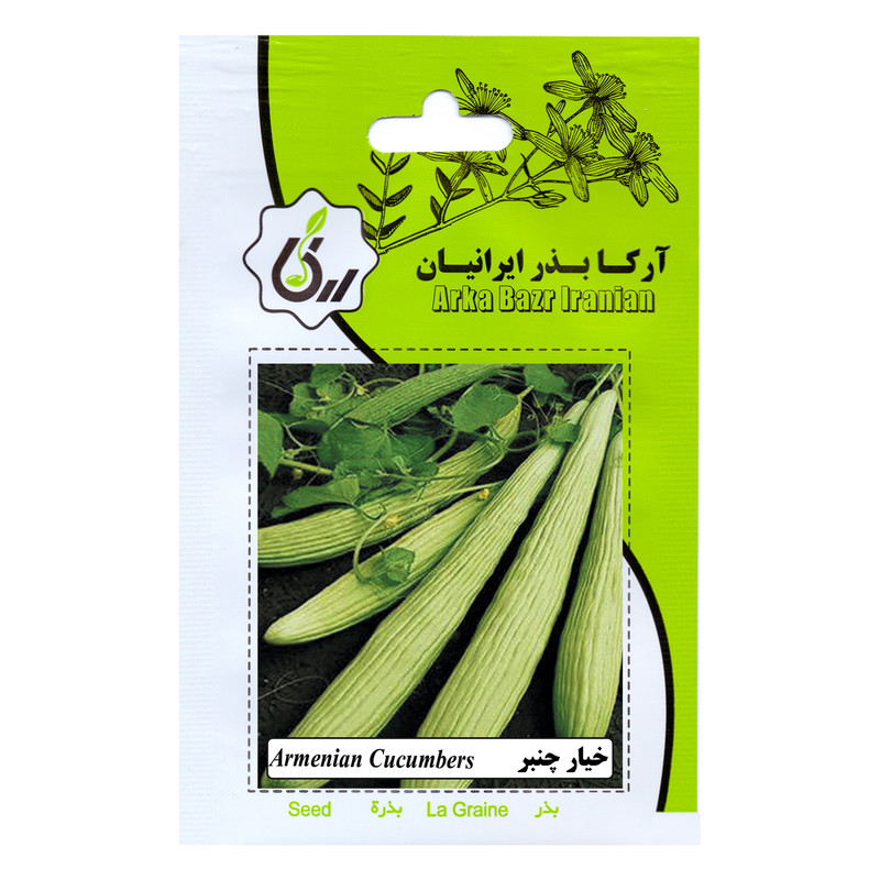 بذر خیار چنبر آرکا بذر ایرانیان کد ARK-129