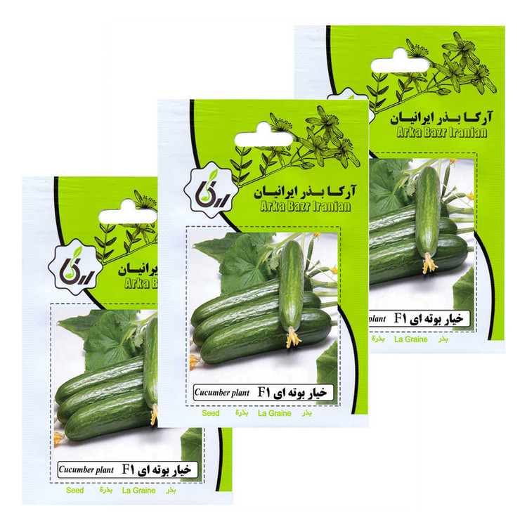 بذر خیار بوته ای F1 آرکا بذر ایرانیان کد 198-ARK مجموعه 3 عددی