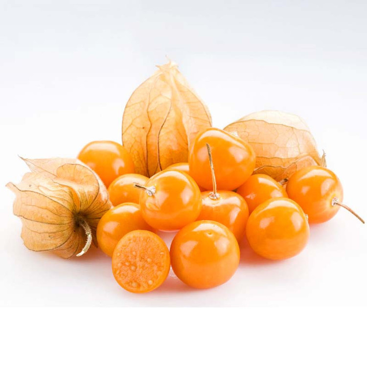 بذر فیسالیس زر بذر ایرانیان کد ZBP-47