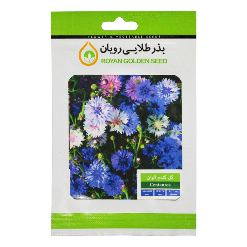بذر گل گندم الوان بذر طلایی رویان کد BZTR-029