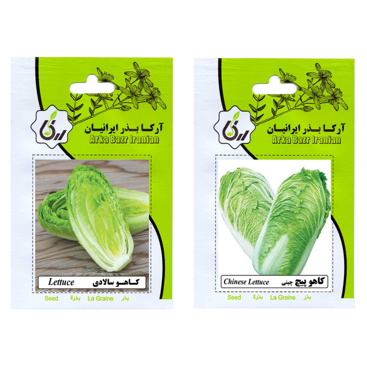 بذر کاهو سالادی و کاهو پیچ چینی آرکا بذر ایرانیان کد ARK-A-ARK-02 وزن 20 گرم مجموعه 2 عددی