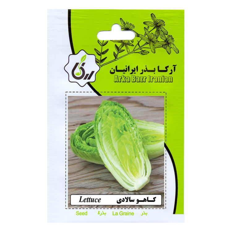 بذر کاهو سالادی و کاهو پیچ چینی آرکا بذر ایرانیان کد ARK-A-ARK-02 وزن 20 گرم مجموعه 2 عددی