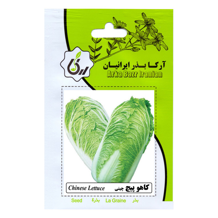 بذر کاهو سالادی و کاهو پیچ چینی آرکا بذر ایرانیان کد ARK-A-ARK-02 وزن 20 گرم مجموعه 2 عددی