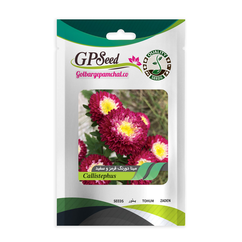 بذر گل مینا دورنگ قرمز و سفید گلبرگ پامچال کد GPF-343