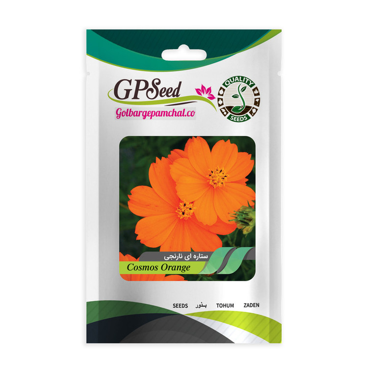 بذر گل ستاره ای رنگارنگ گلدانی گلبرگ پامچال کد G-P-GP-05 مجموعه 5 عددی