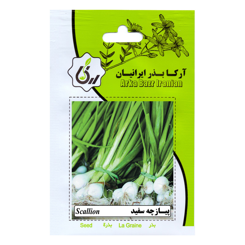 بذر پیازچه سفید آرکا بذر ایرانیان کد ARK-213