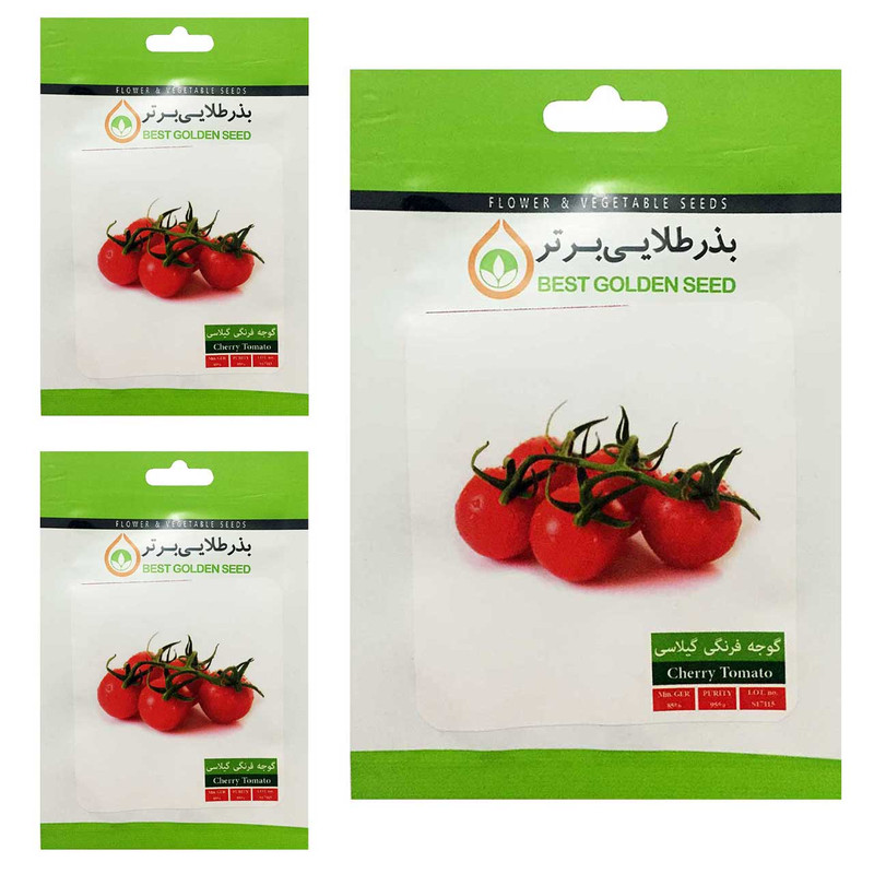 بذر گوجه گیلاسی قرمز بذر طلایی برتر کد BTB-77 مجموعه 3 عددی
