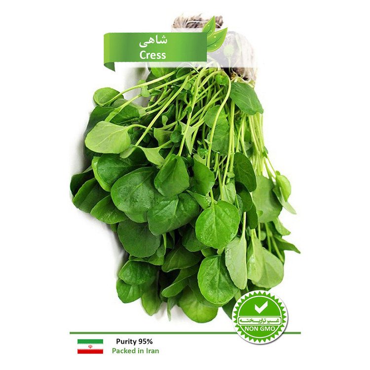 بذر شاهی مدل AB41