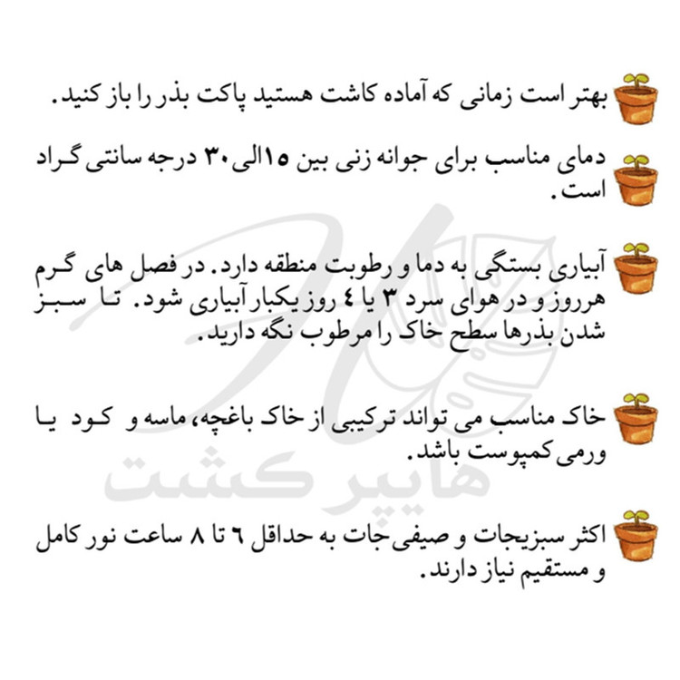 بذر پرپین گرین سیدز کد 2020 مجموعه 3 عددی