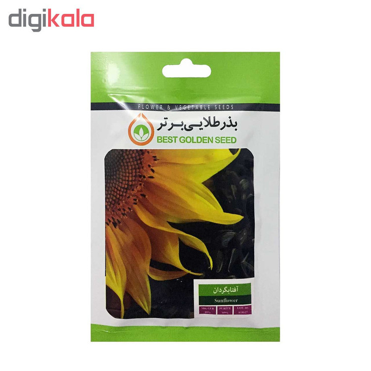بذر آفتابگردان بذر طلایی برتر کد BZT-44