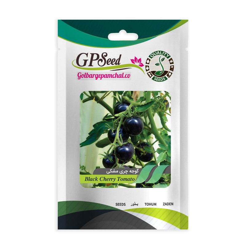 بذر گوجه چری مشکی جی پی سید مدل GP7639