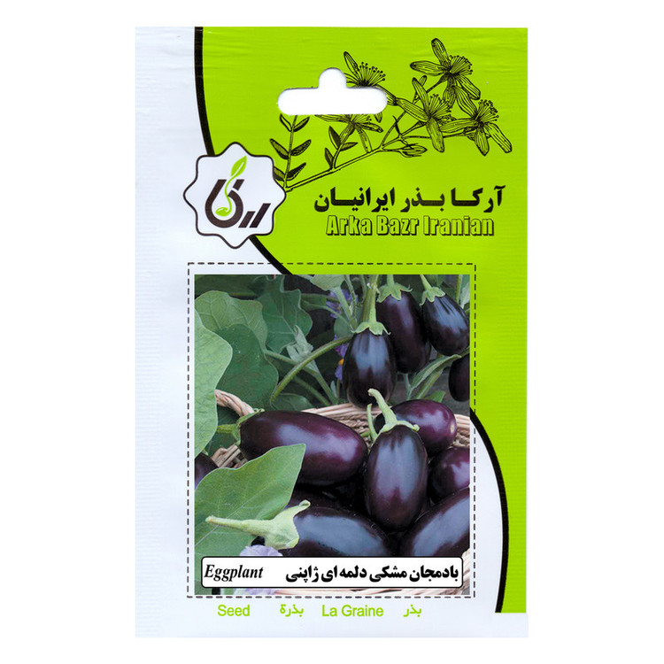 بذ ربادمجان مشکی دلمه ای ژاپنی آرکا بذر ایرانیان مدل B68