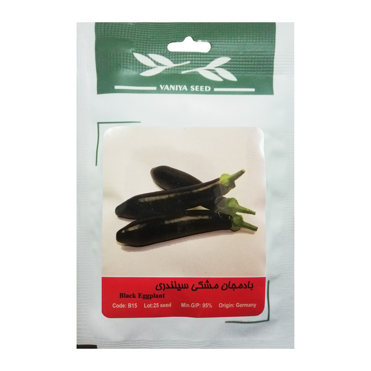 بذر بادمجان مشکی سیلندری وانیا سید مدل B15