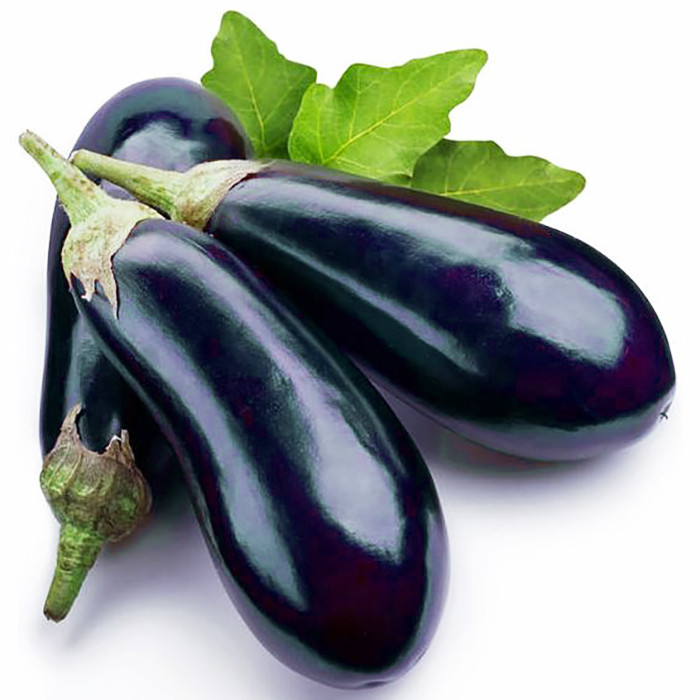 بذر بادمجان مشکی سیلندری وانیا سید مدل B15