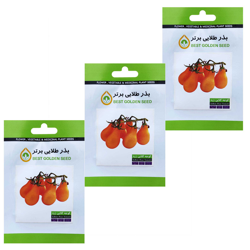 بذر گوجه گلابی زرد بذر طلایی برتر کد BTB-103 مجموعه 3 عددی