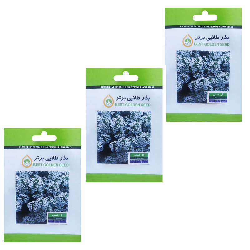 بذر گل عسلی بذر طلایی برتر کد BZT-24 مجموعه 3 عددی