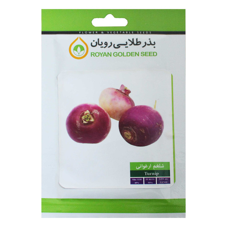 بذر شلغم ارغوانی بذر طلایی رویان مدل BZTR-058