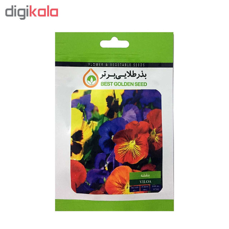 بذر گل بنفشه بذر طلایی برتر کد BZT-08