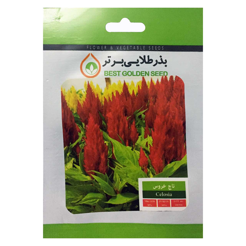 بذر گل تاج خروس بذر طلایی برتر کد BZT-10