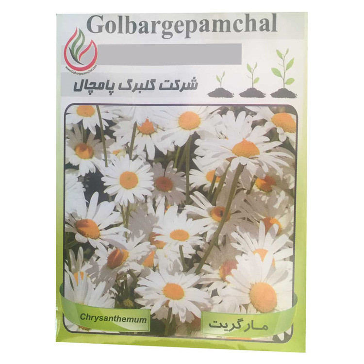 بذر گل مارگریت گلبرگ پامچال مدل GP18