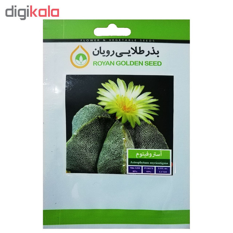 بذر کاکتوس آستروفیتوم بذر طلایی رویان کد BZT-120