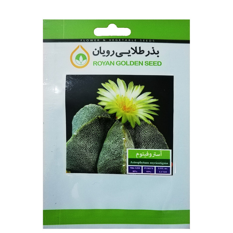 بذر کاکتوس آستروفیتوم بذر طلایی رویان کد BZT-120