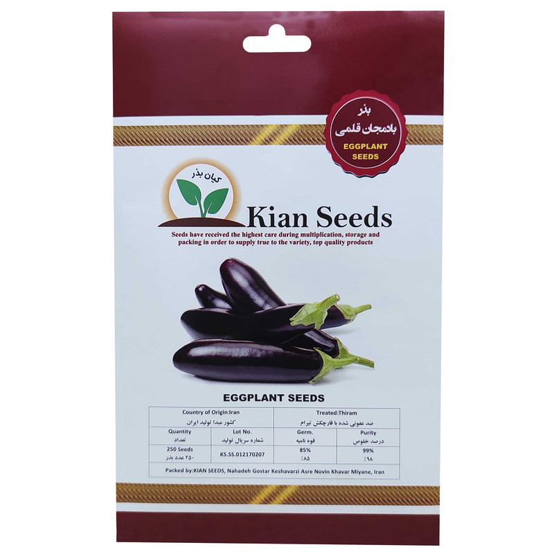 بذر بادمجان قلمی کیان بذر کد KBZ-14