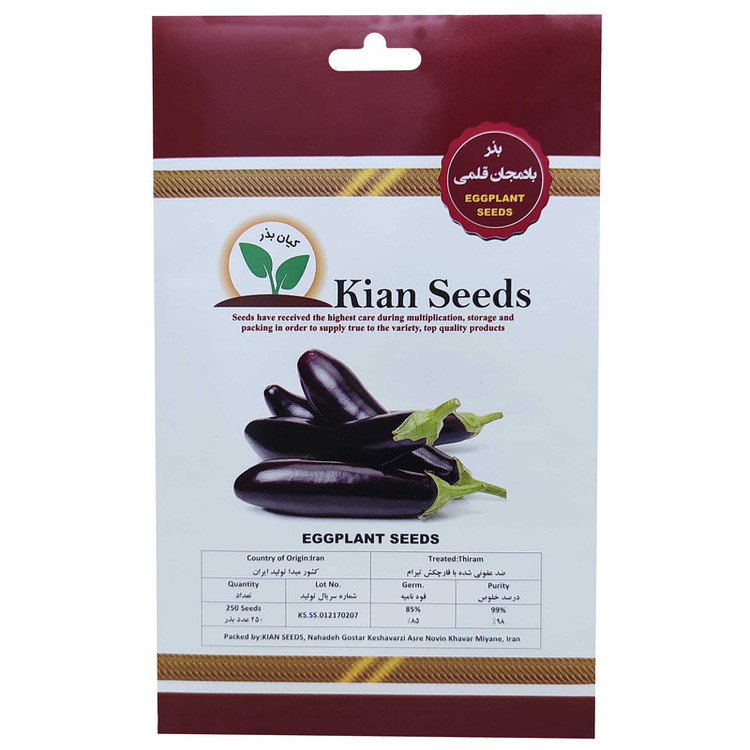 بذر بادمجان قلمی کیان بذر کد KBZ-14