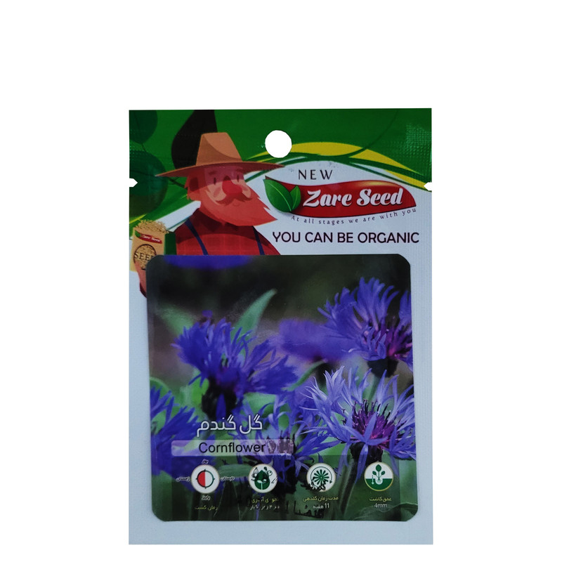 بذر گل گندم پاسارگاد کشت زارع کد zs-173
