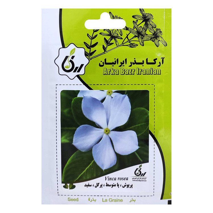 بذر پریوش پامتوسط پرگل سفید آرکا بذر ایرانیان کد ARK-043