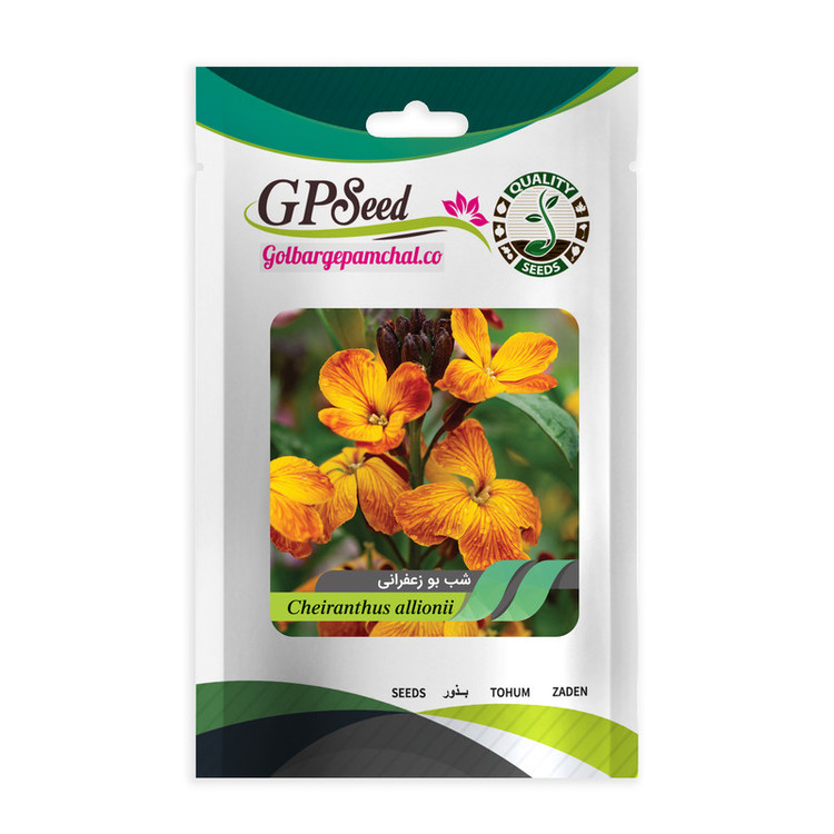 بذر گل شب بو زعفرانی گلبرگ پامچال کد GPF-059