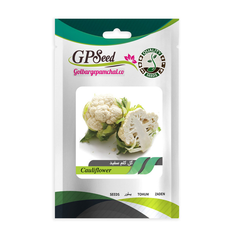 بذر کلم و کاهو گلبرگ پامچال کد G-P-GP-05 مجموعه 5 عددی