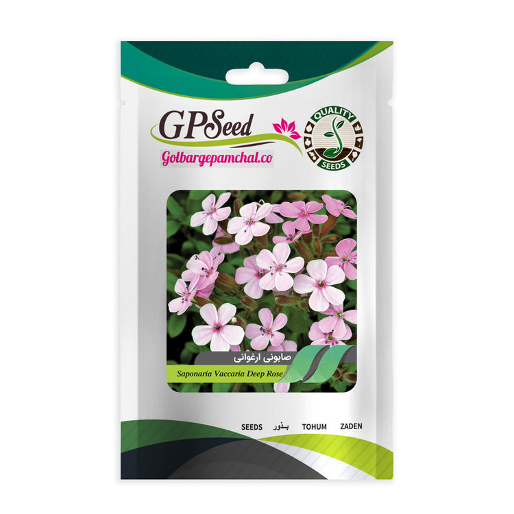 بذر گیاه دارویی صابونی ارغوانی گلبرگ پامچال کد GPF-338