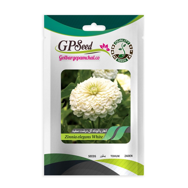 بذر گل آهار سفید گلبرگ پامچال کد GPF-002
