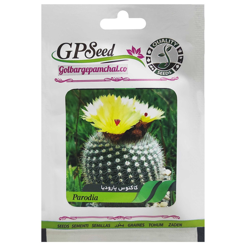 بذر کاکتوس پارودیا گلبرگ پامچال کد GPF-183