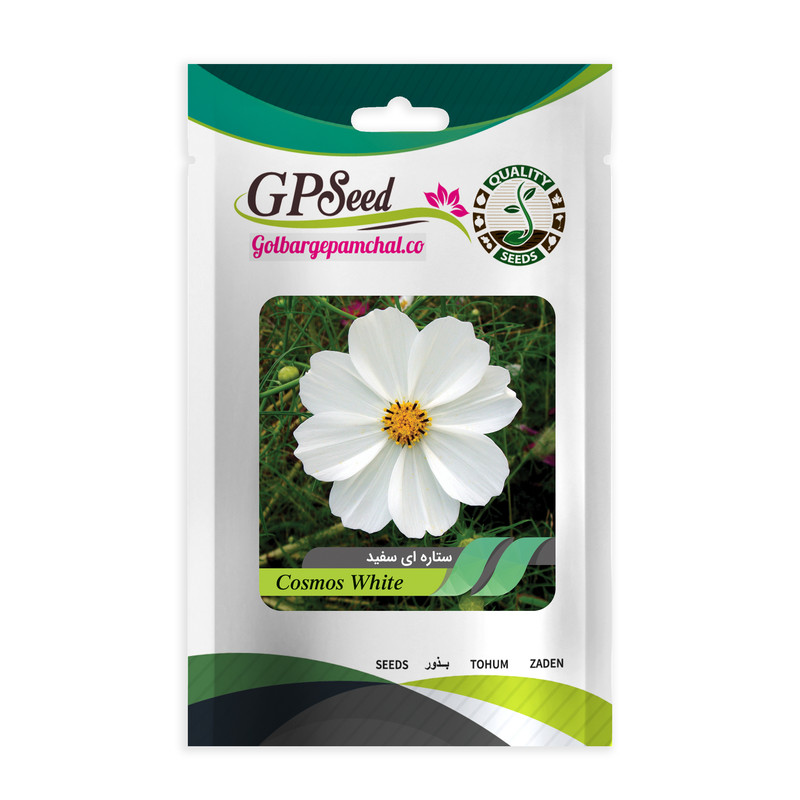 بذر گل ستاره ای سفید گلبرگ پامچال کد GPF-249