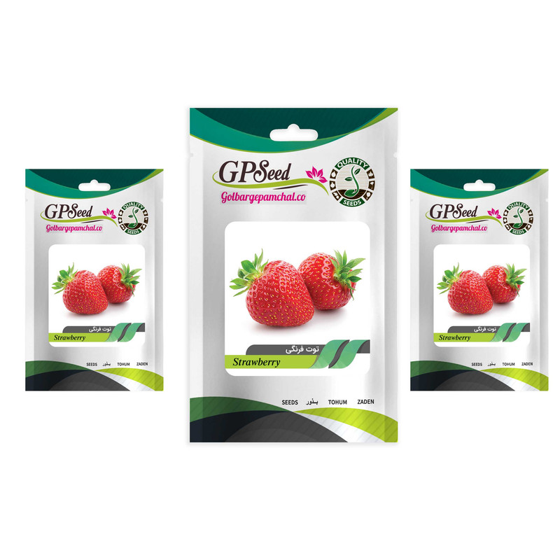 بذر میوه توت فرنگی کاماروسا گلبرگ پامچال کد GPF-195 مجموعه 3 عددی